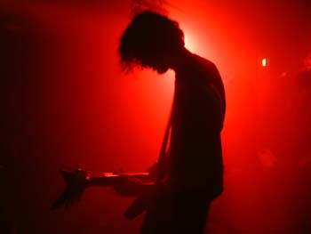 The Wounded live